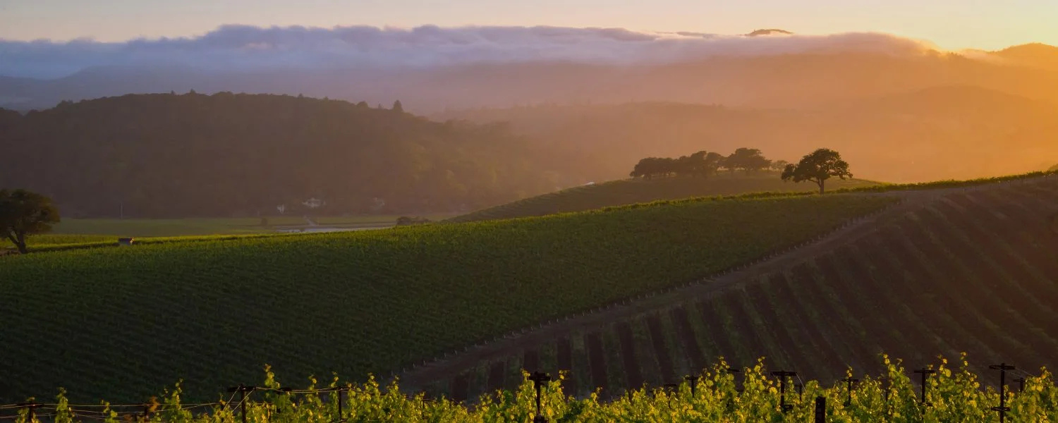 Napa2025